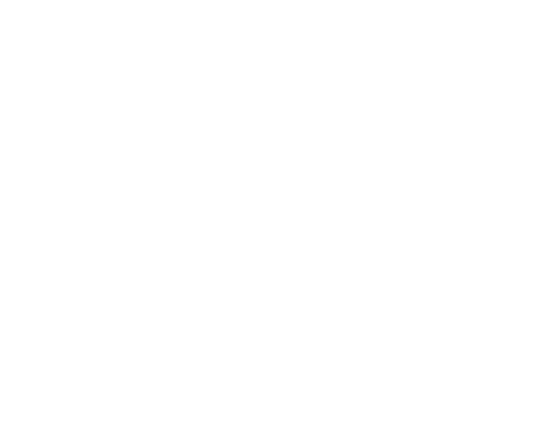 RIDE IT PTE. LTD logo